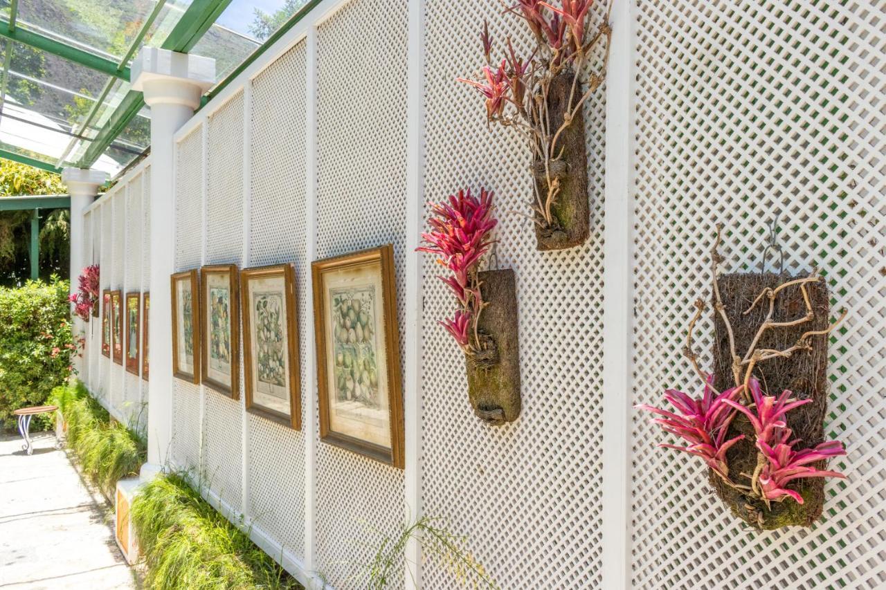 Locanda Della Mimosa Cascatinha Ngoại thất bức ảnh